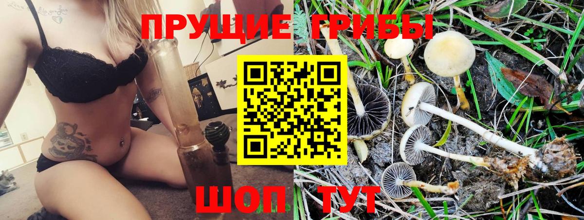 Псилоцибиновые грибы GOLDEN TEACHER  Галлюциногенные грибы мухоморы  закладка  Вход с VPN  Москва 
